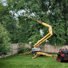 Best Tree Health Inspection  in Oceano, CA