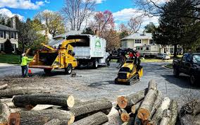 Best Firewood Processing and Delivery  in Oceano, CA