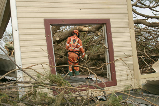 Best Utility Line Clearance  in Oceano, CA